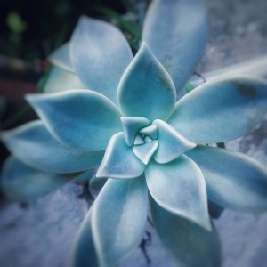 IMG_20201204_173613_262