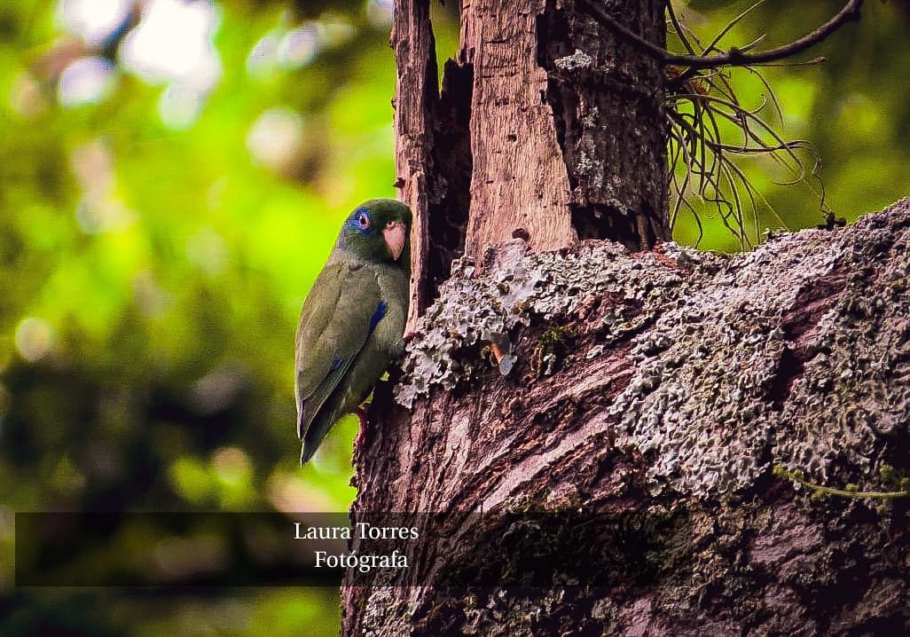 inbound6134783661102789836