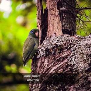 inbound6134783661102789836