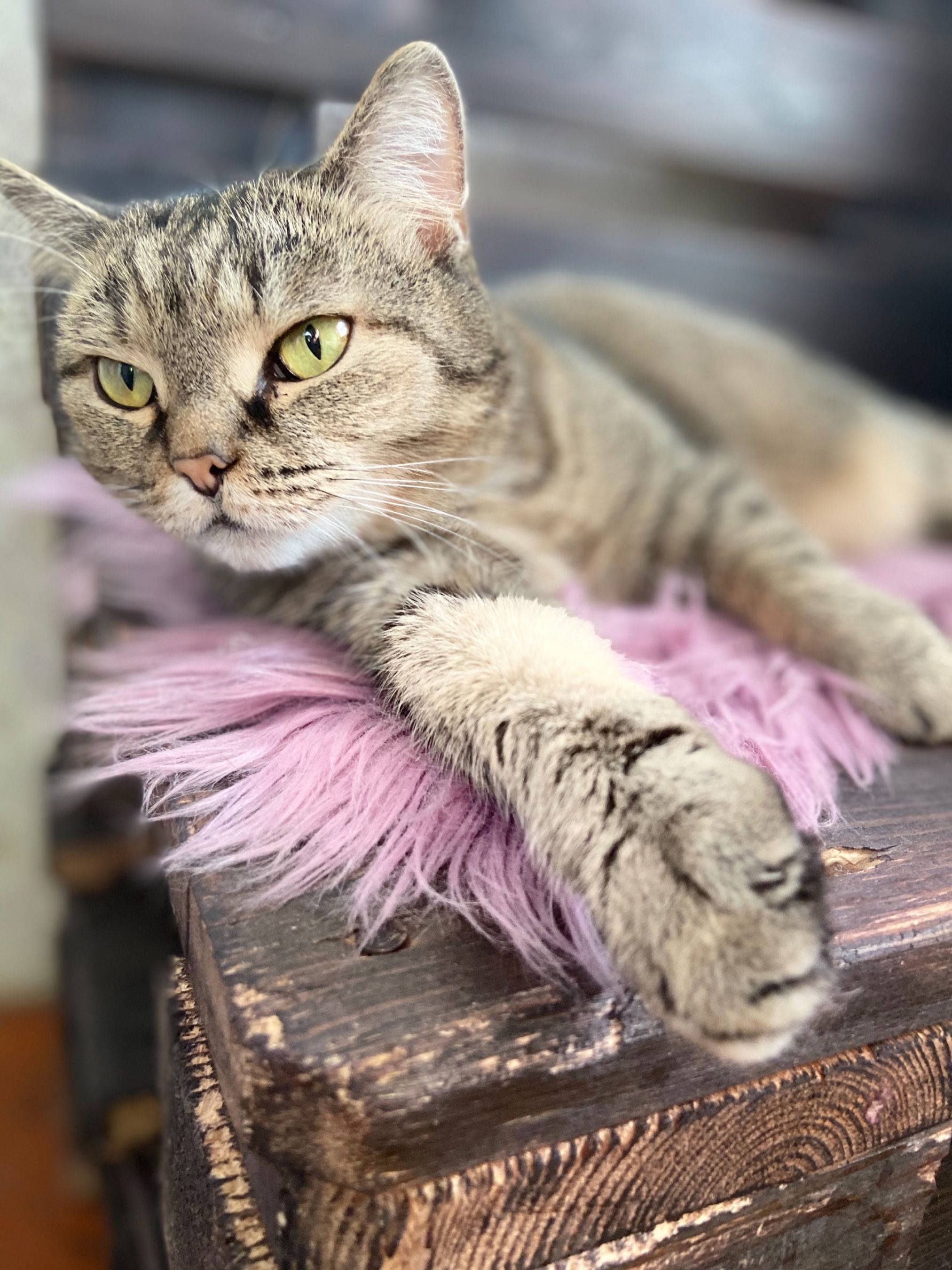 0AC6A6F1-4DD6-49BE-B9B4-430CBB2C5ADF