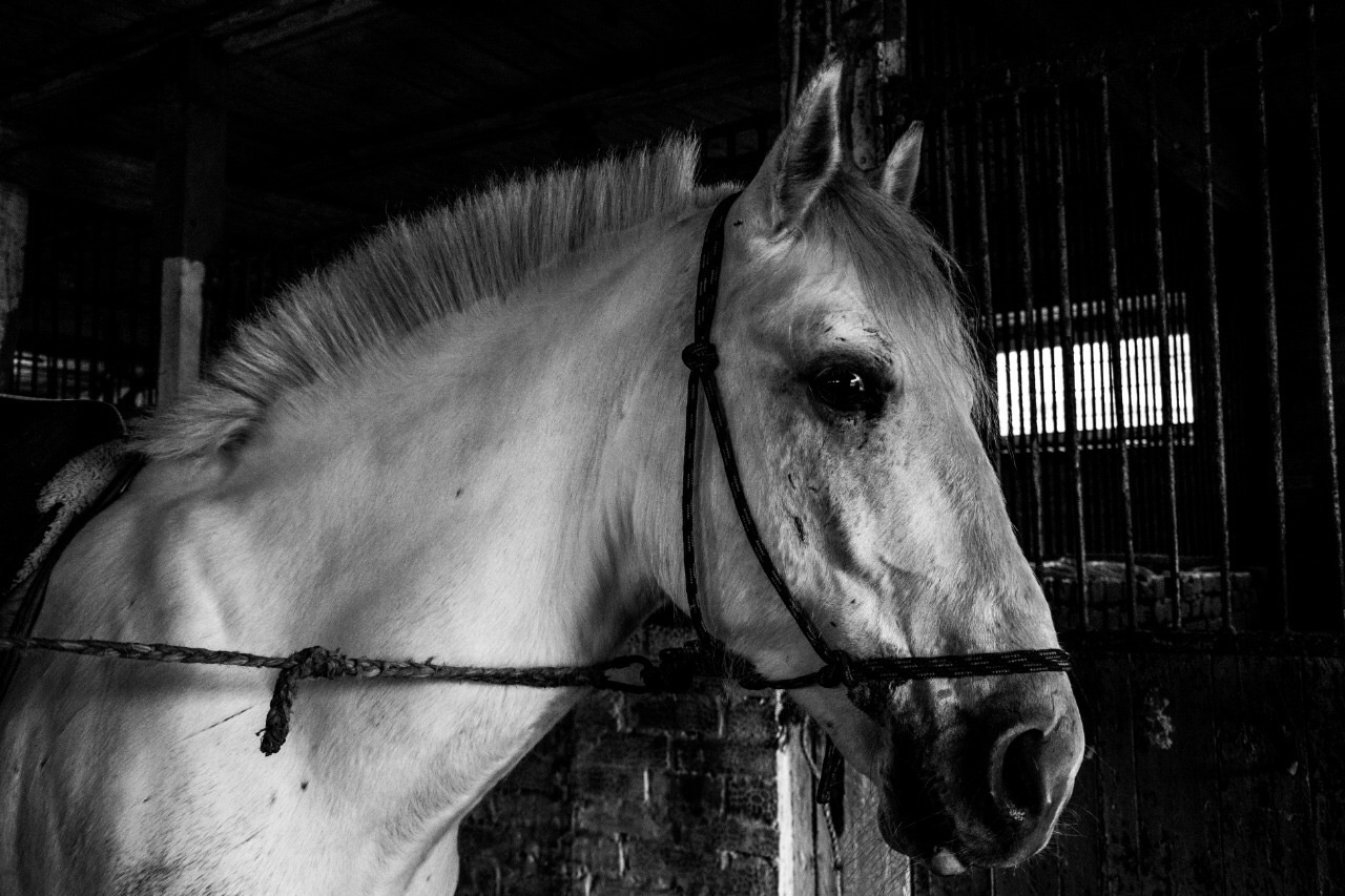 7DBCD680-4BDF-4840-B784-5A1144A7E925