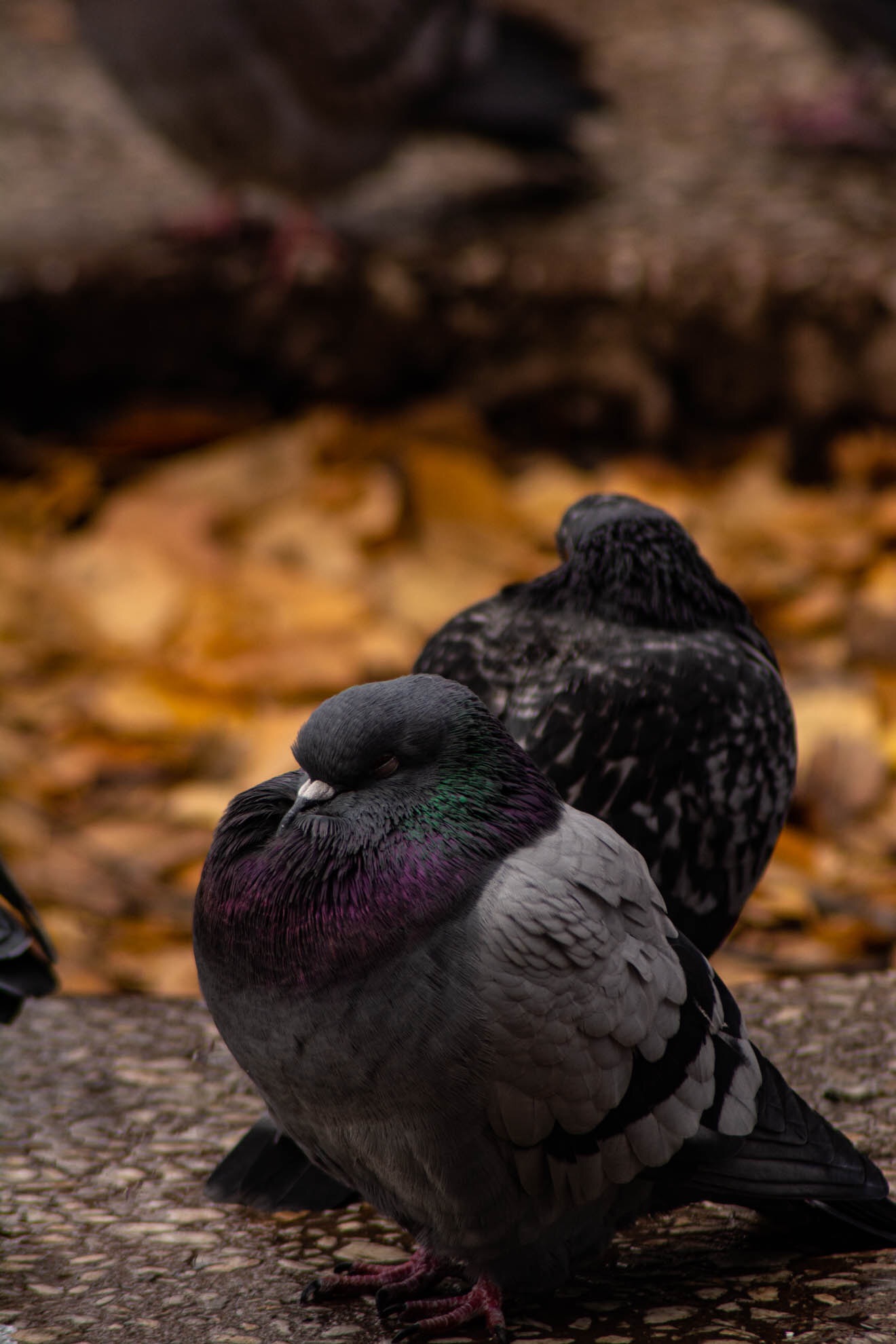 7A1EDA2A-8418-42F2-A2B1-E7A6C9E578C4