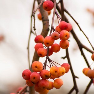 0A846621-39B5-41AF-A861-0EF492D8E538