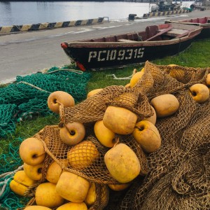 A1D2A029-B220-48C7-9182-C7813575F847