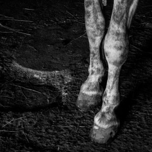 3B370DDB-A9A6-4F7F-859A-ECFDDD8CEA59