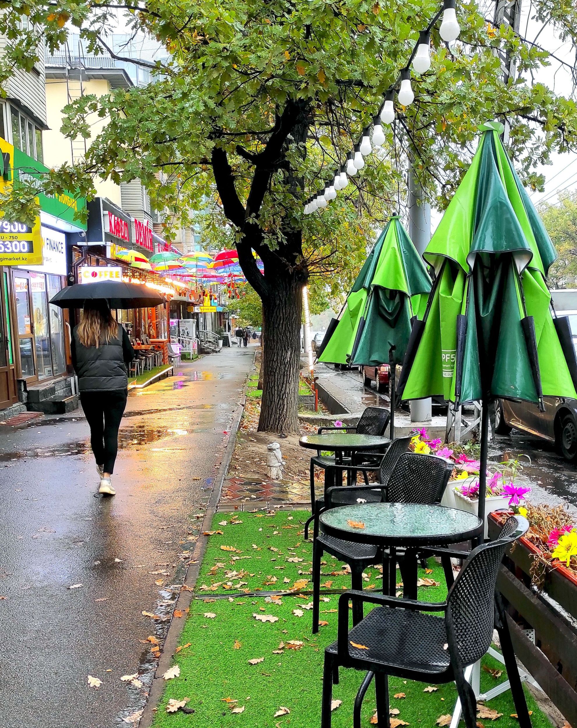 IMG_20251001_1505101