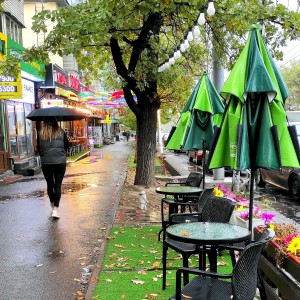 IMG_20251001_1505101