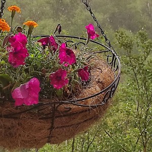 IMG_20210715_1900381