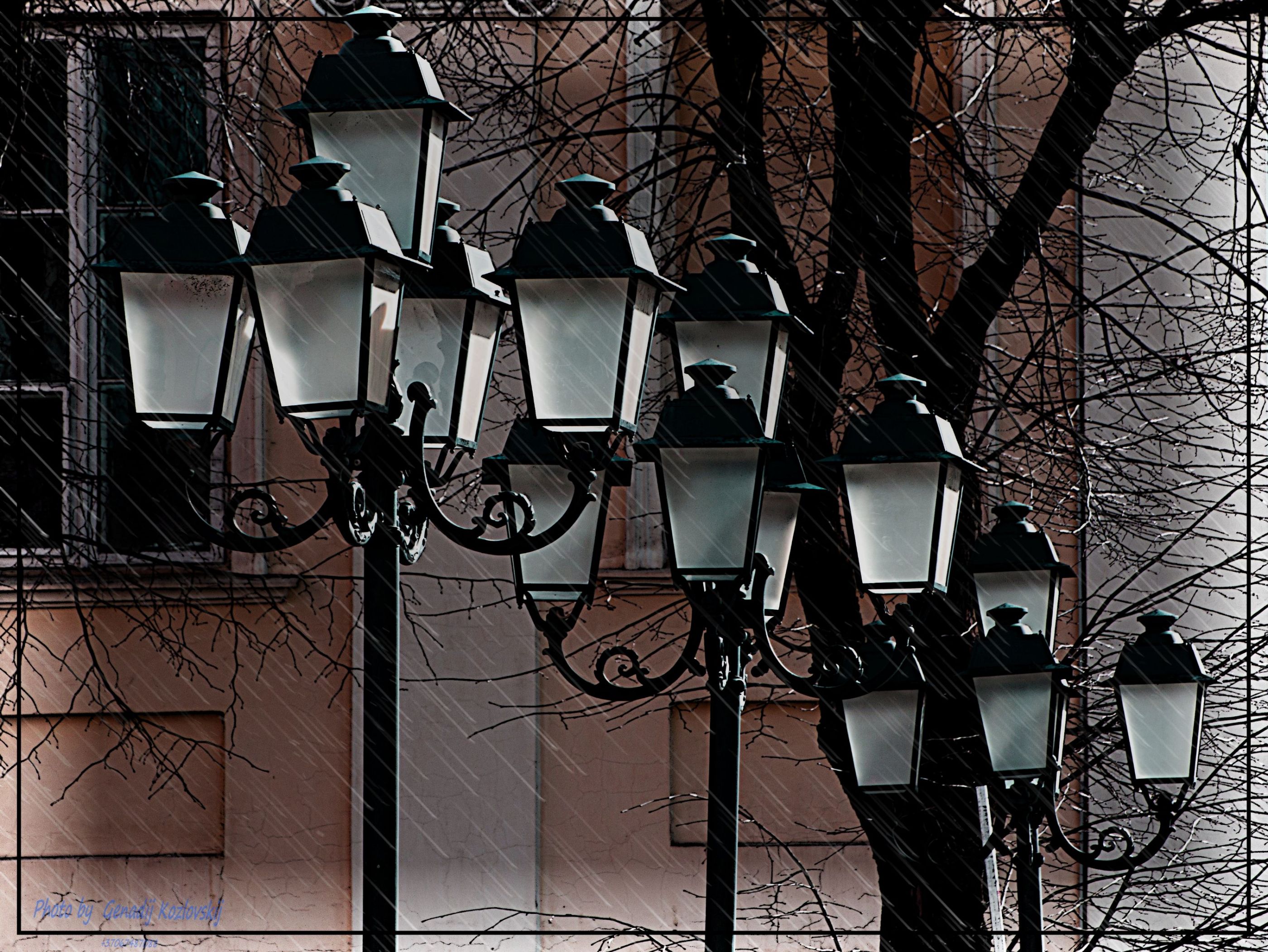 20190311-DSC_0114_pe