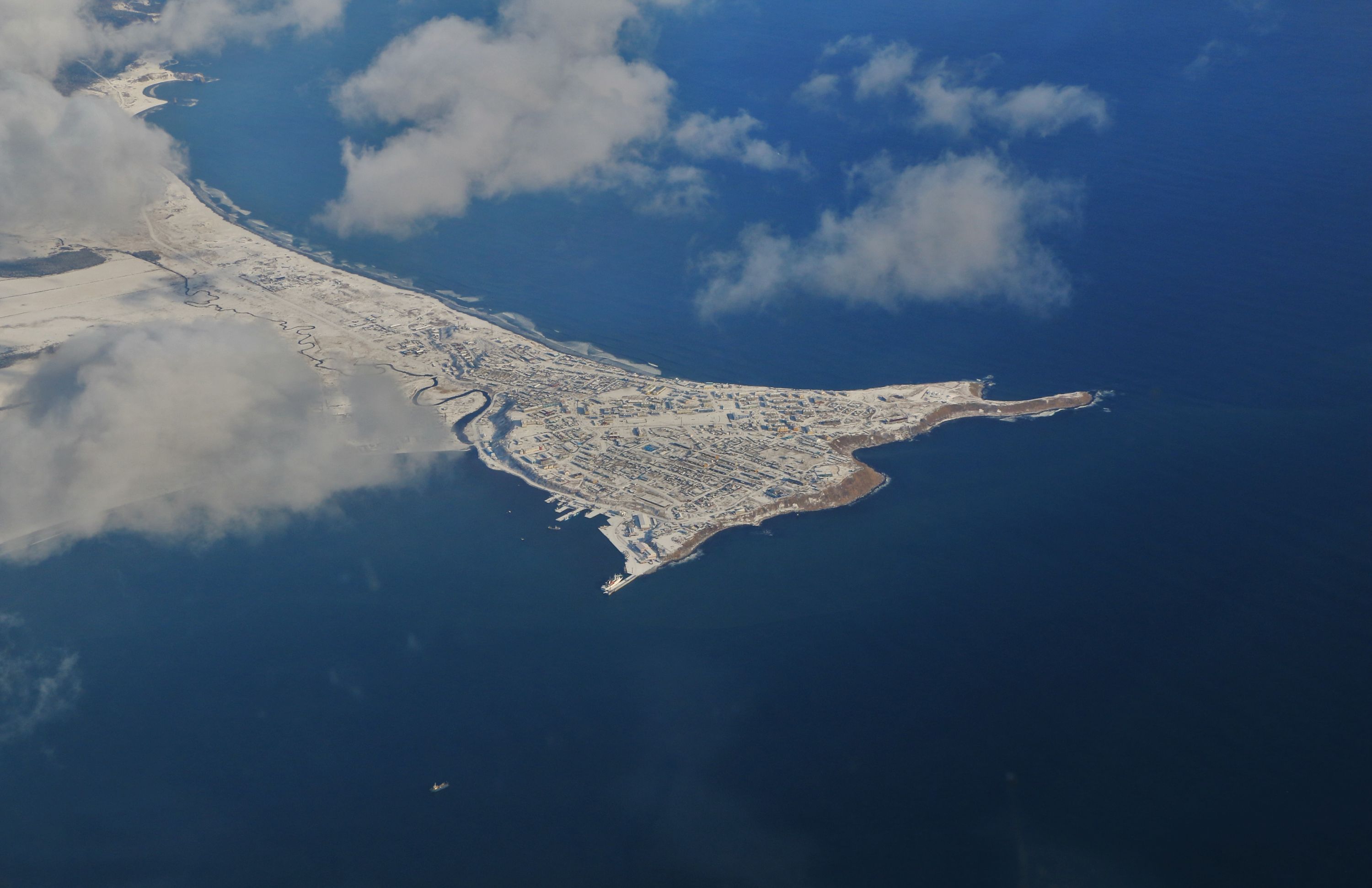 inbound3764719331602294126