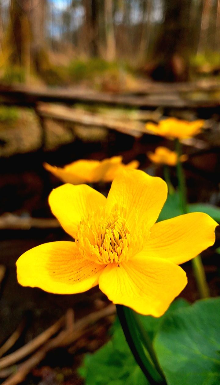 Screenshot_20210518-161858_Gallery