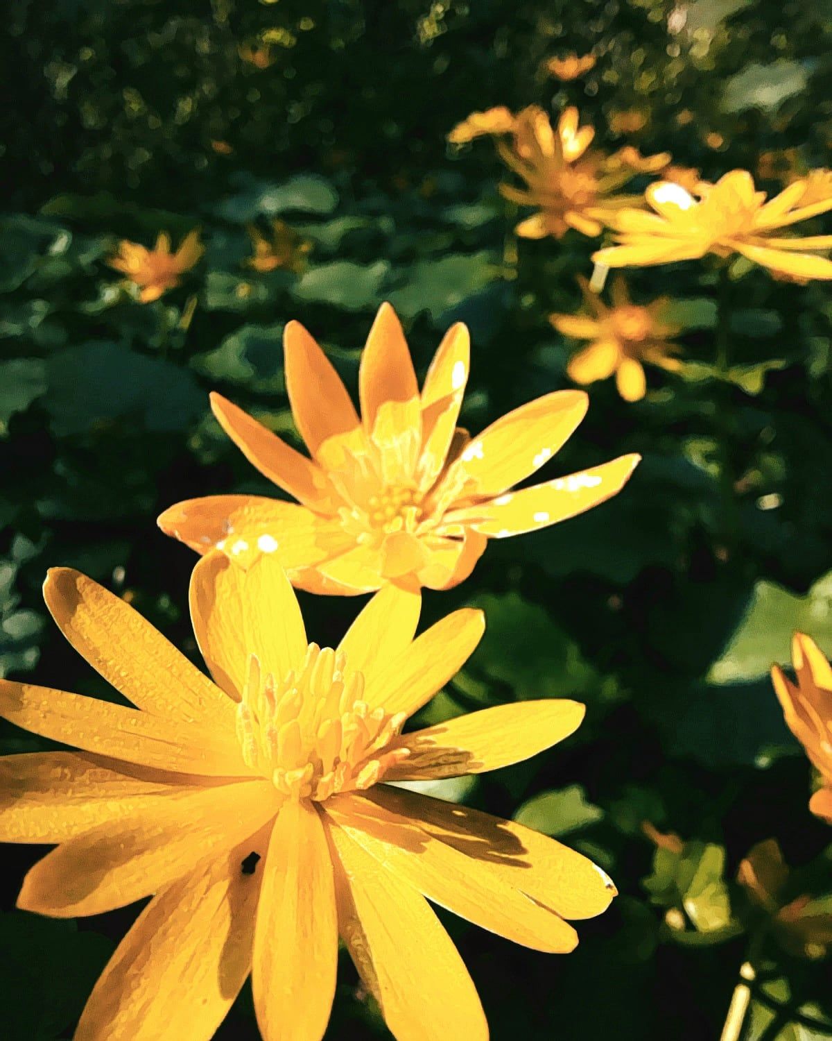 IMG_20210528_080221_357