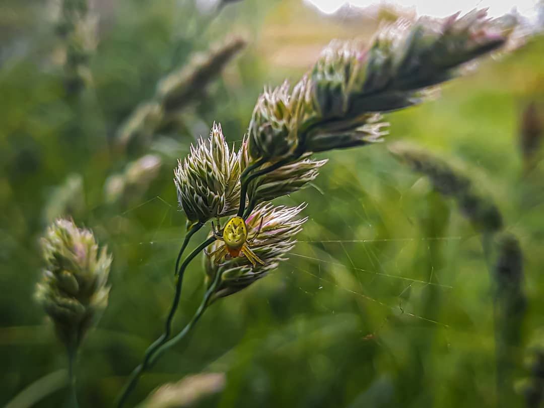 IMG_20210703_085818_868