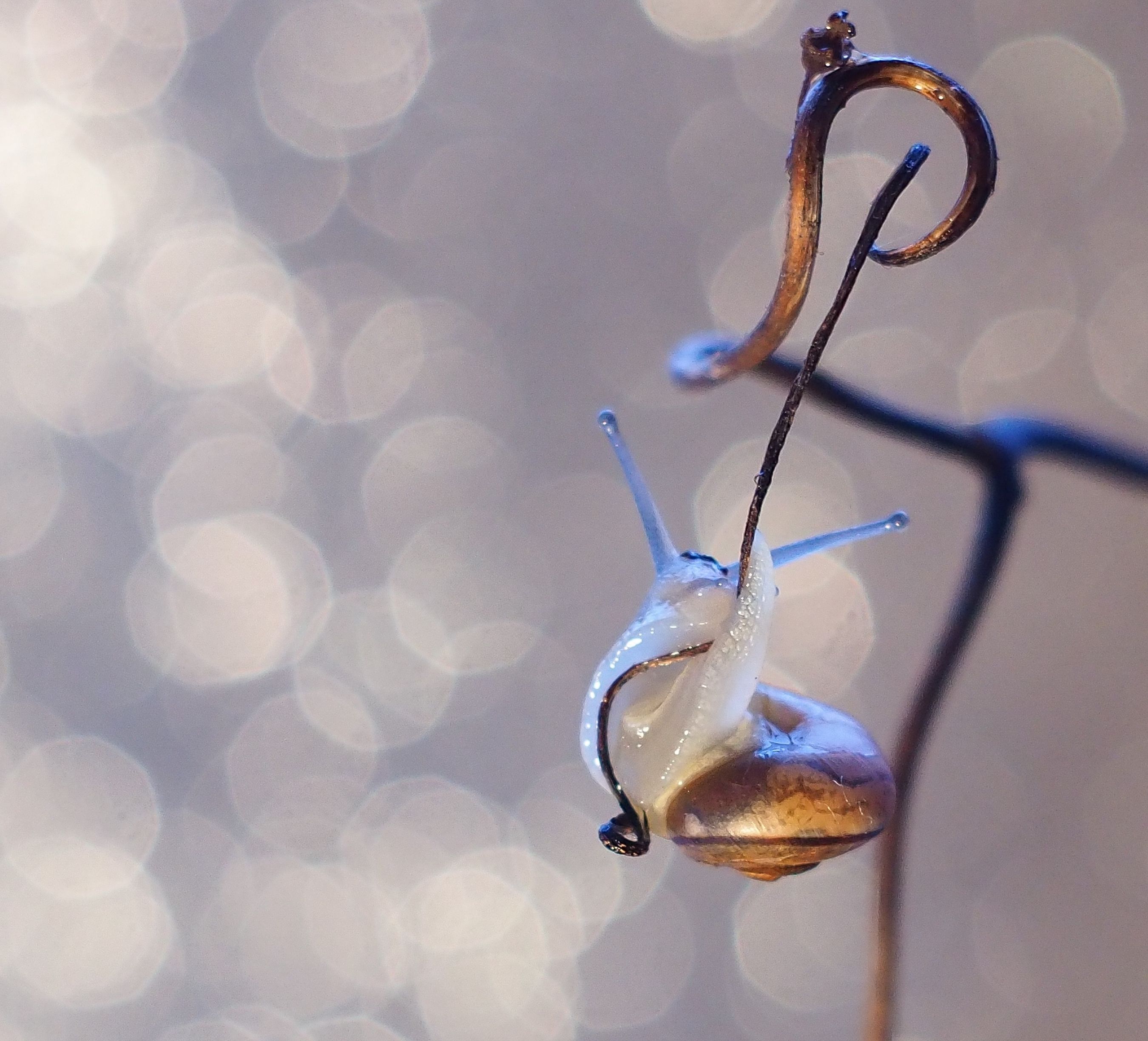 651EC623-AD96-4553-BBD8-CFA843403457