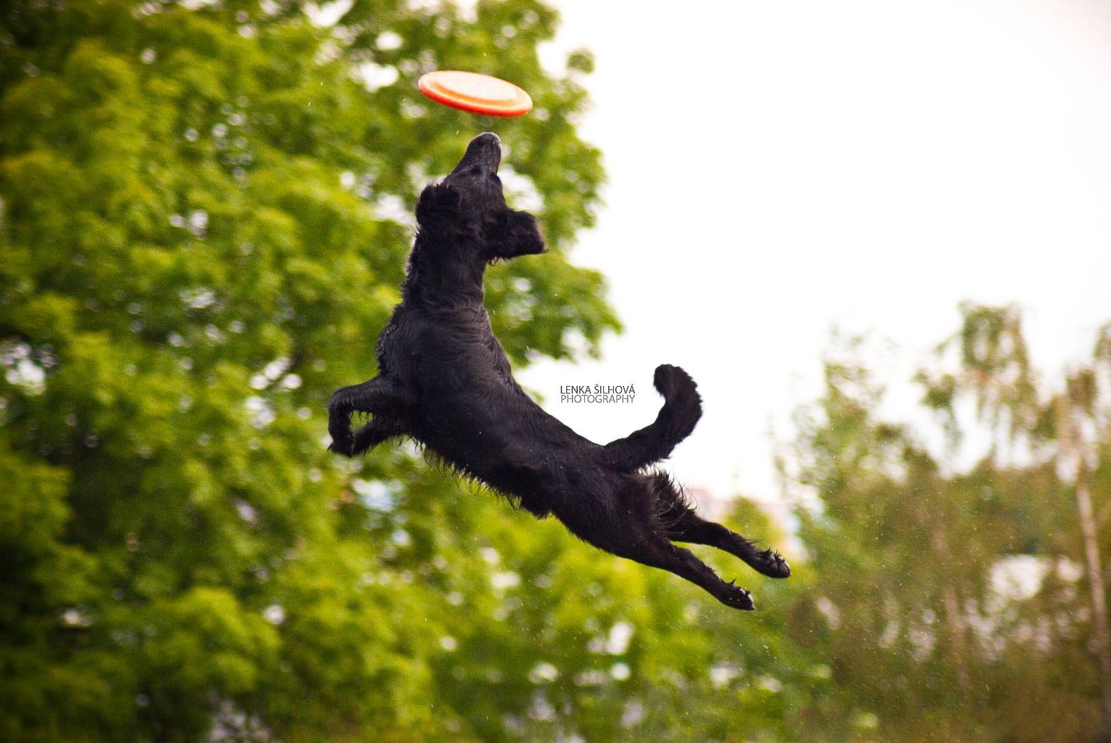 20160828-DSC_0031-Edit