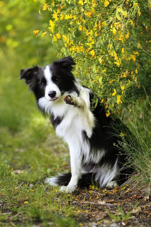 received_549802965731888