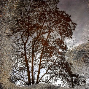 COLLAGE_20230114_200444