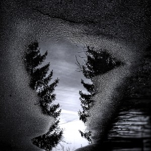 COLLAGE_20230311_191938