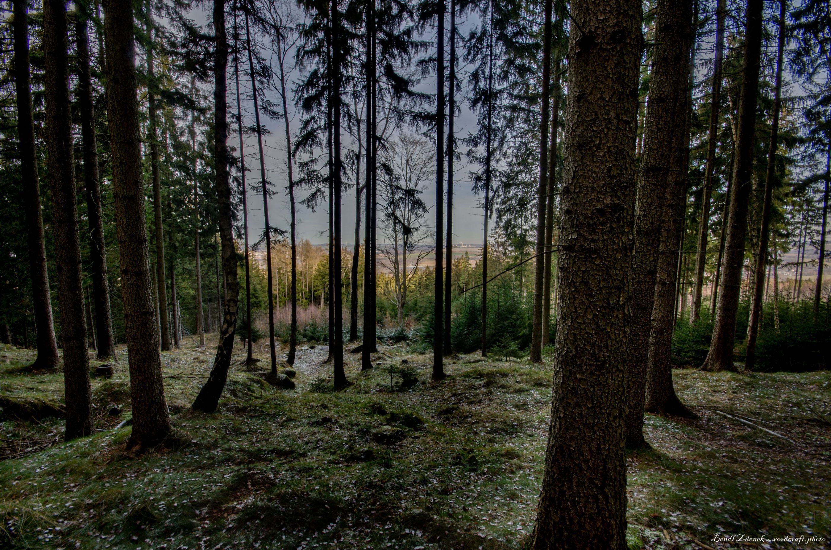 WCP_3776_hdr