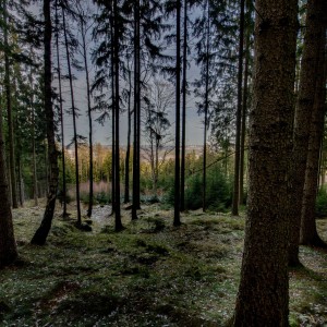 WCP_3776_hdr