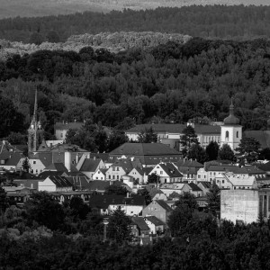 _DSC8849