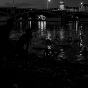 bw_WCP6799