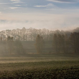 _WCP6338