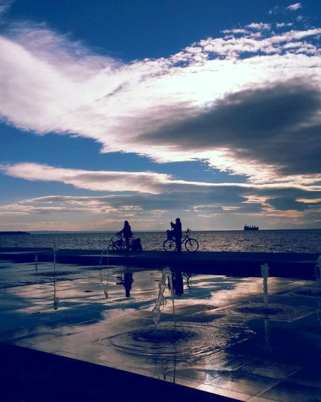 inbound2445692626968767223