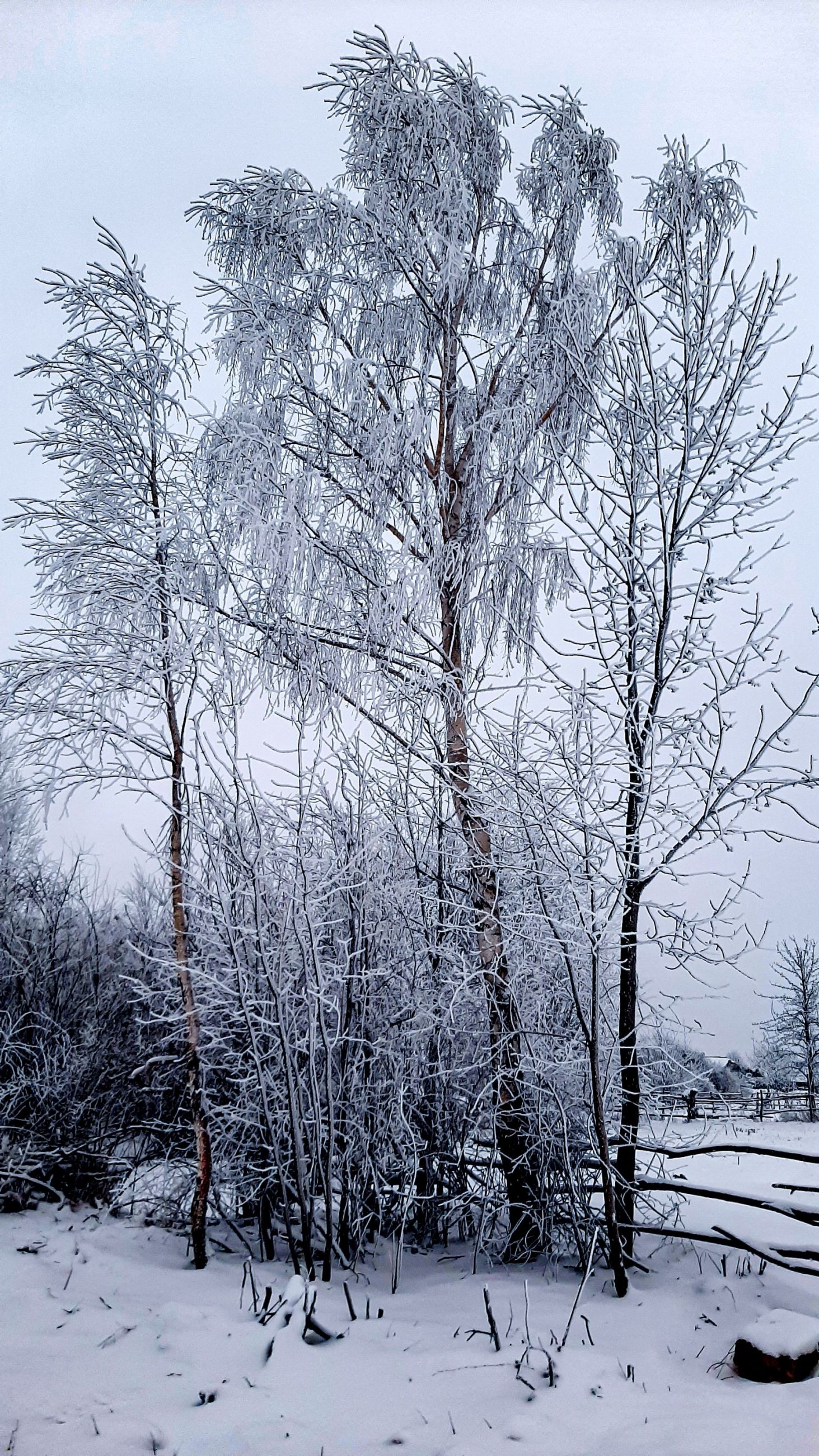 Зимова замальовка