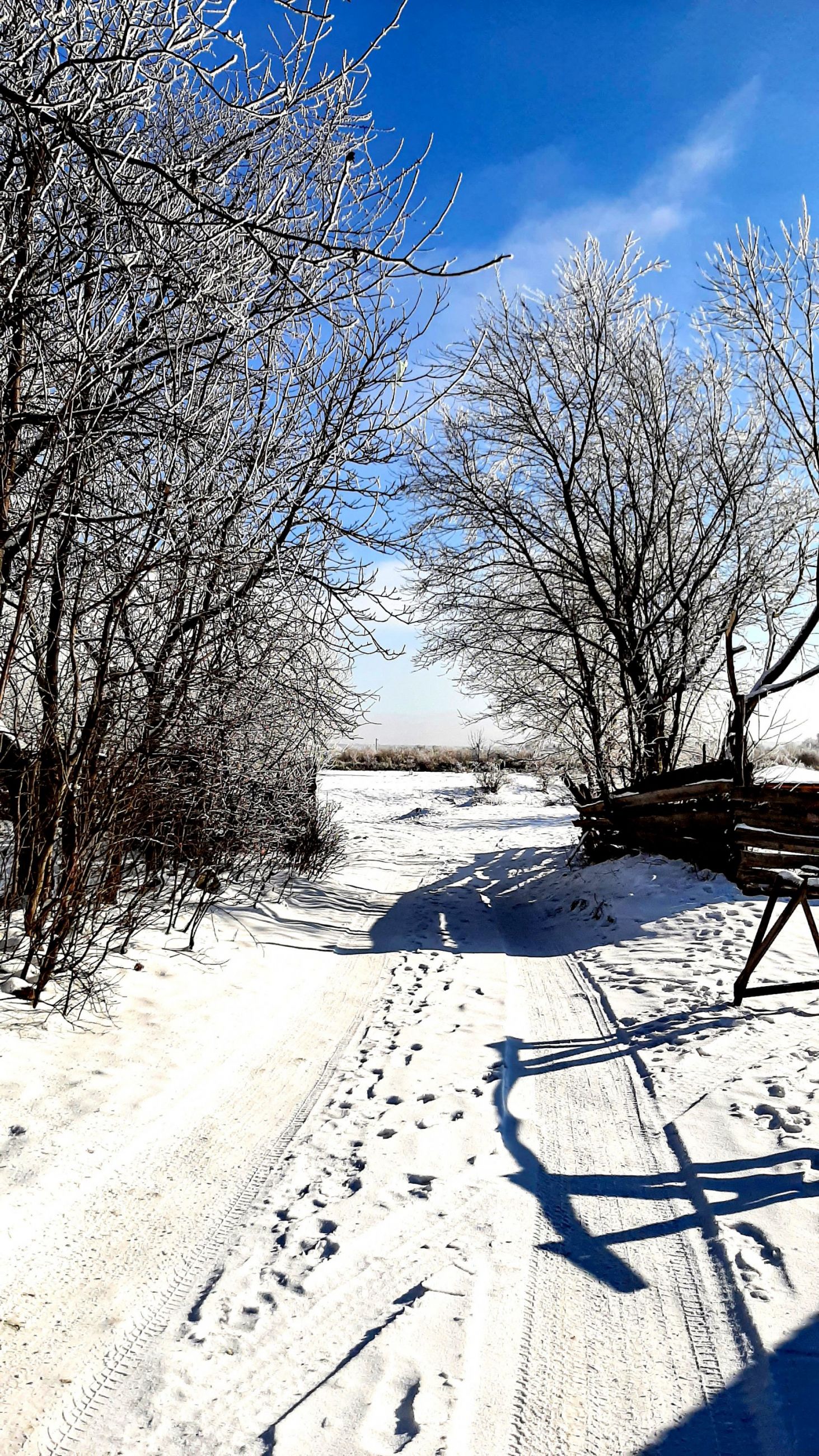 Зимова замальовка