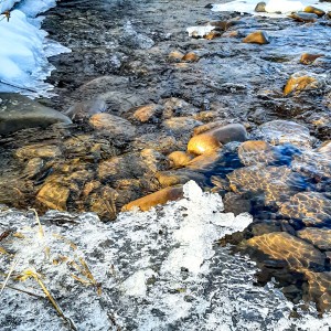 На берегах ріки Лімниця