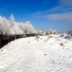 Сонячний день