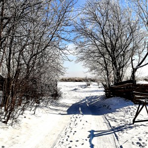 Зимова замальовка