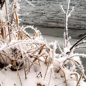 На берегах ріки Лімниця