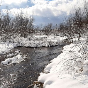 Рання весна