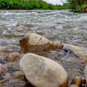 На берегах ріки Лімниця