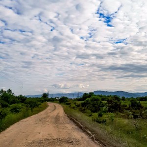 Літо в Карпатах