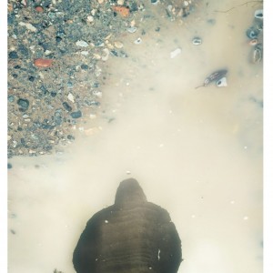 inbound6800951701245106768