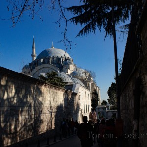 07032020-IMG_9528