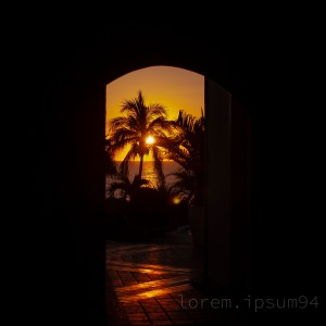 IMG_2854-1