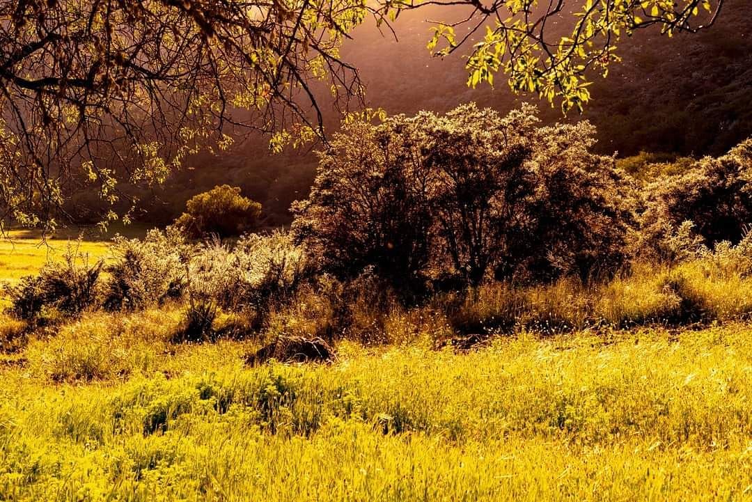 IMG_20210102_105534_197