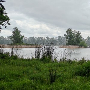 IMG_20250731_145126