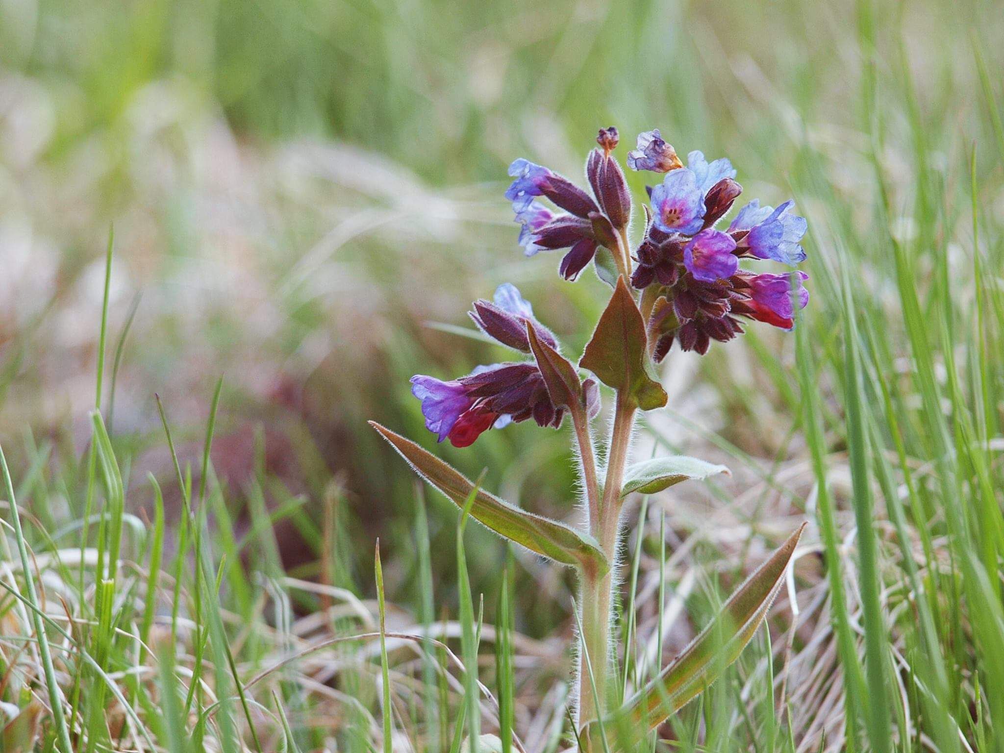 12615424_1207211769308058_6693370102805450174_o