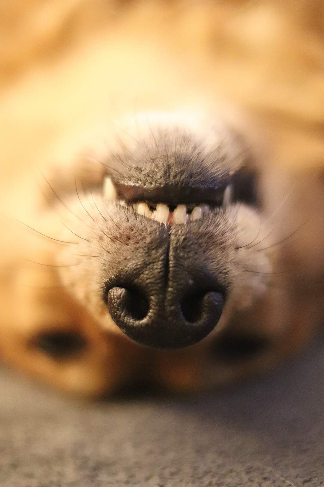 FB_IMG_1609850032282