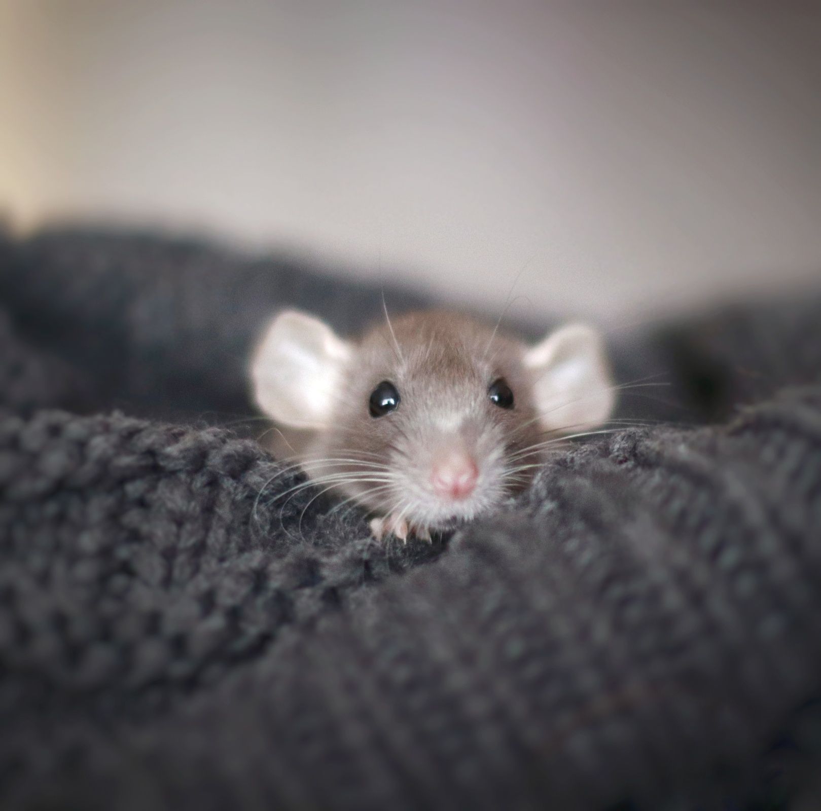 20210108135208_IMG_9925-01