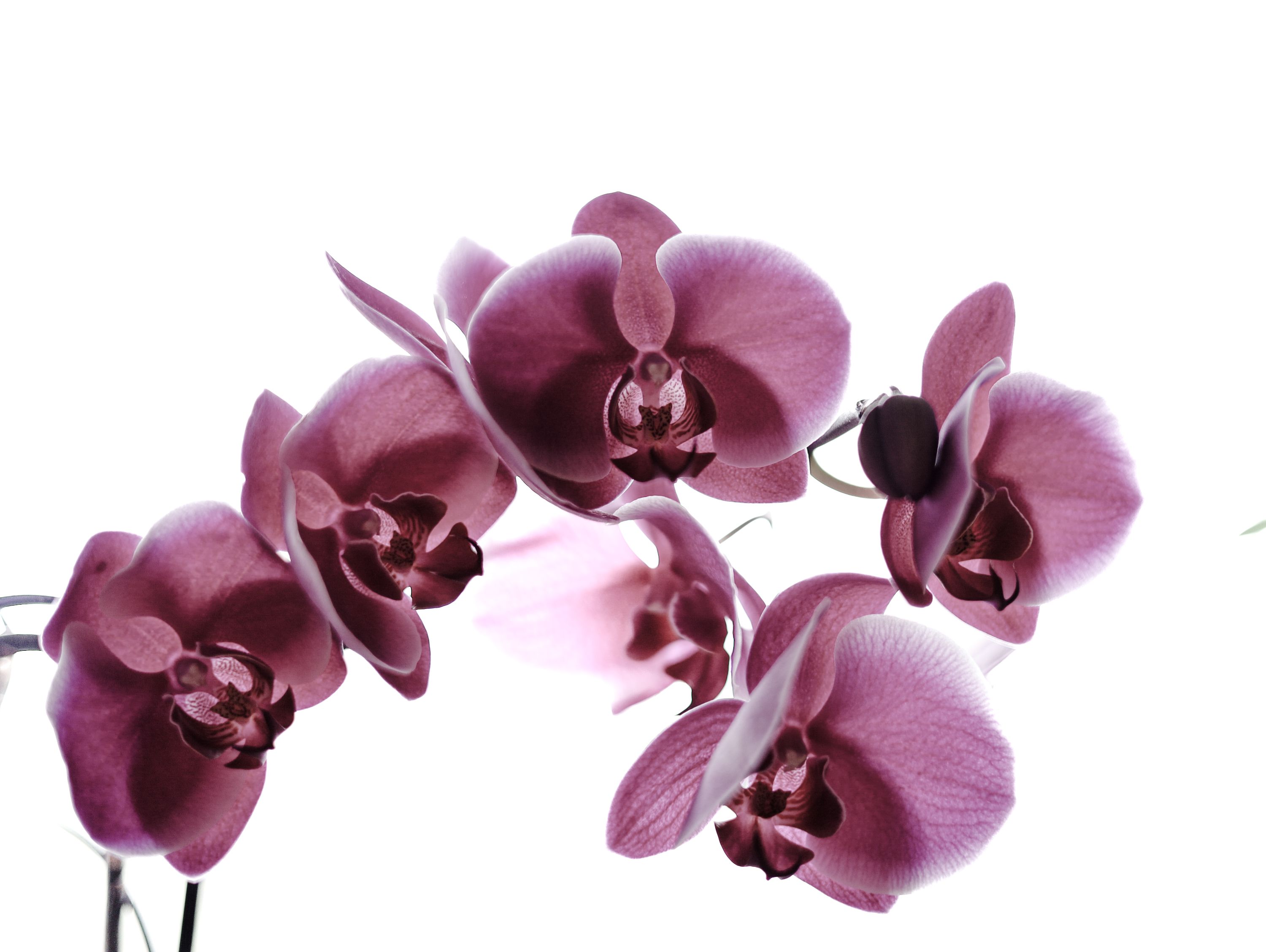 20230730142511_IMG_7394