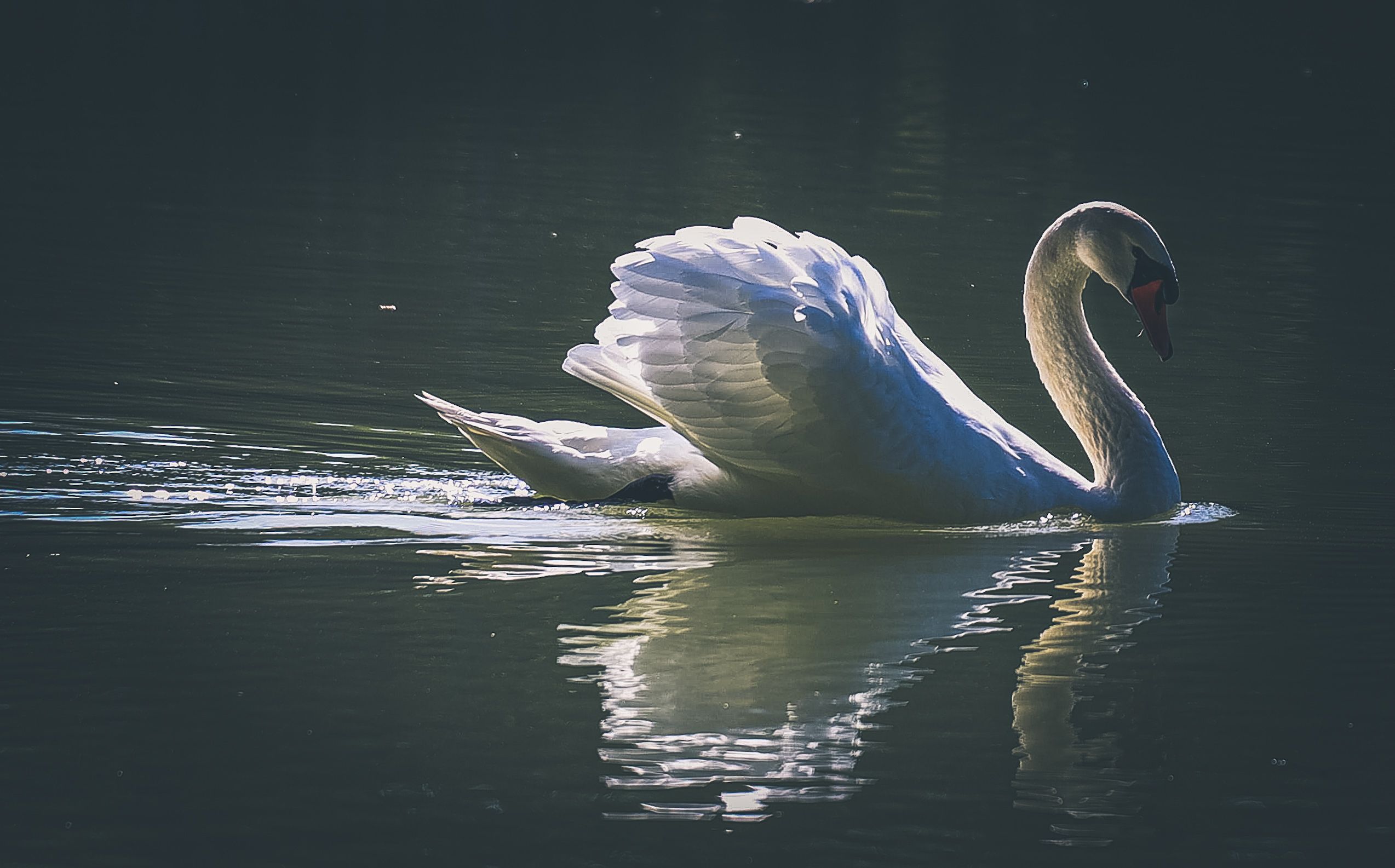 20230909144246_IMG_9119