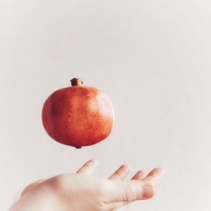 20210121160537_IMG_0863-01