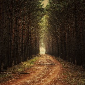 20201109144356_IMG_7701-01