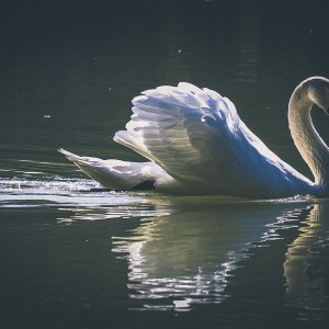 20230909144246_IMG_9119